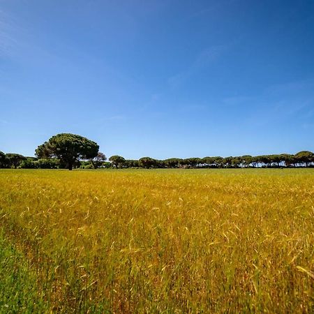 Agriturismo Bio Femminella Principina a Mare Bagian luar foto