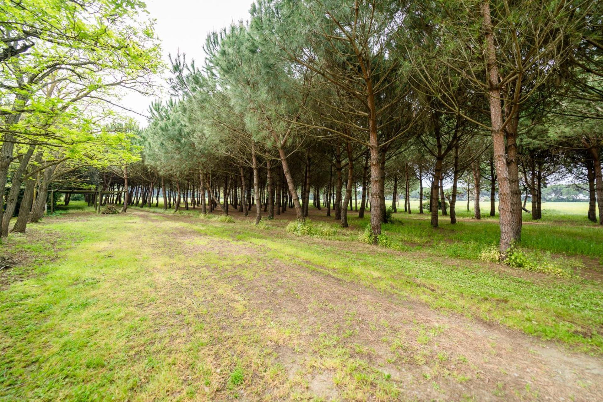 Agriturismo Bio Femminella Principina a Mare Bagian luar foto