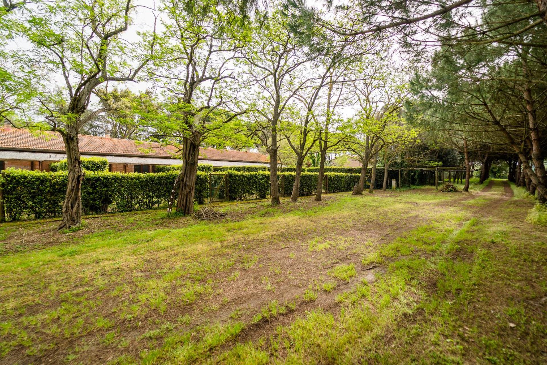 Agriturismo Bio Femminella Principina a Mare Bagian luar foto