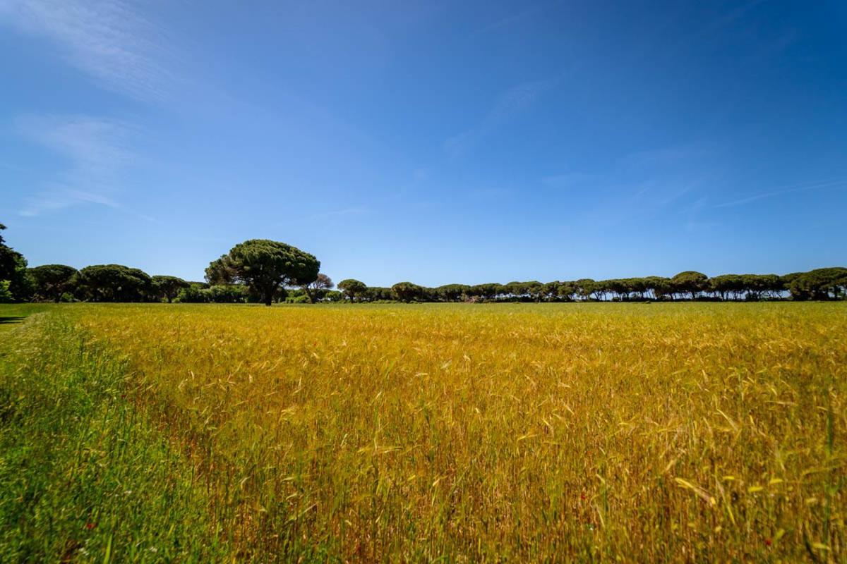 Agriturismo Bio Femminella Principina a Mare Bagian luar foto